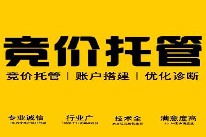 百度竞价广告投放技巧及某行业成功案例